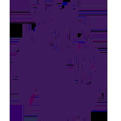 英超 狼队vs布莱顿20251005