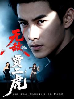 《无敌贾二虎》