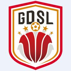 广东省城市足球超级联赛 广州豹vs珠海聚杰20250817