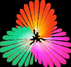 全运会女篮资格赛B组-河南44.83山东20250811