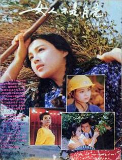 《女人不是月亮》
