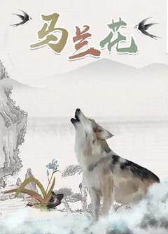 《马兰花2006》