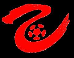 中乙 陕西联合vs北京理工20240406