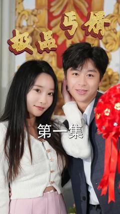 《极品丐婿》