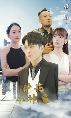 《护花小神医》
