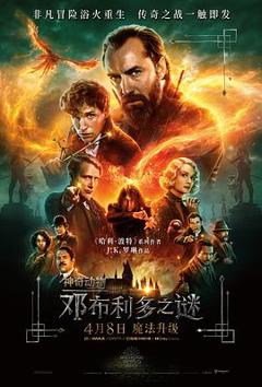 《神奇动物：邓布利多之谜[电影解说]》