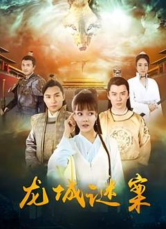 《龙城谜案》