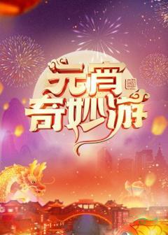 《2024河南元宵奇妙游》