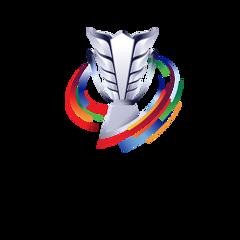 《亚洲杯 伊朗vs叙利亚20240201》