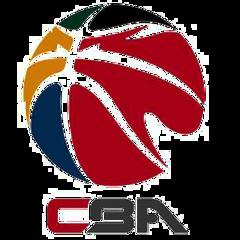 CBA 广州龙狮vs宁波町渥20240114