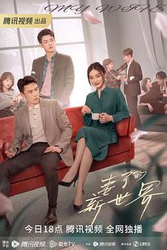 《妻子的新世界[电影解说]》