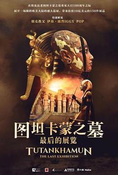 《图坦卡蒙之墓：最后的展览》