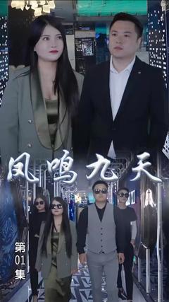 《凤鸣九天》