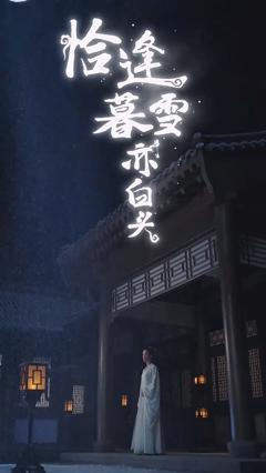 《恰逢暮雪亦白头》