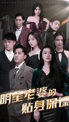 《明星老婆的贴身保镖》