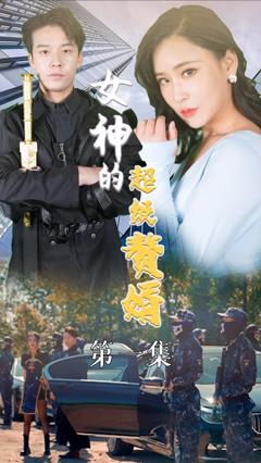 《女神的超级赘婿》