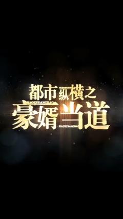 都市纵横之豪婿当道