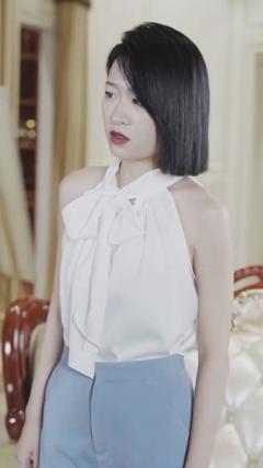 《女总裁的替身赘婿》