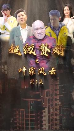 《超级赘婿之叶家风云》