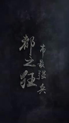 《都市最强狂兵》