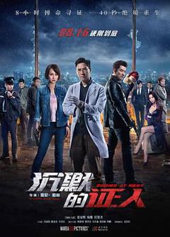 《沉默的证人2019[电影解说]》