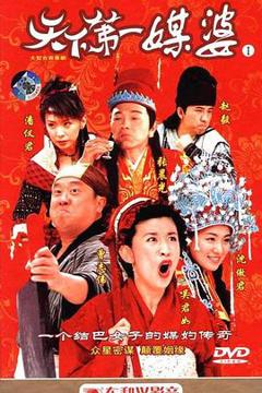 《天下第一媒婆》