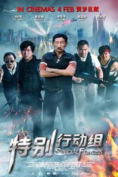 《特别行动组2016》