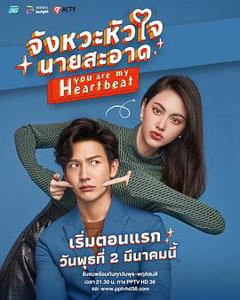 狐狸的夏天泰语版