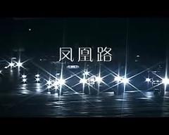 凤凰路[电影解说]