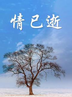 《情已逝》