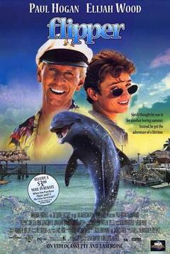 《海豚的故事1996》