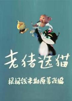 老猪选猫[电影解说]