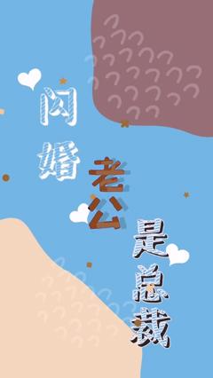 闪婚老公是总裁