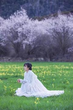《李子柒古香古食全集》