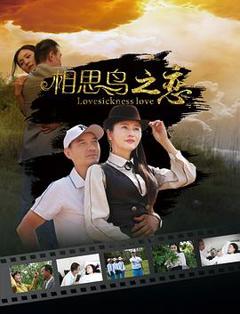《相思鸟之恋[电影解说]》
