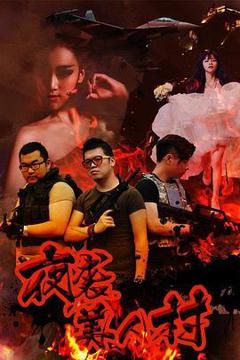 《夜袭寡妇村2015》