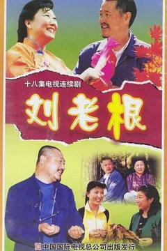 《刘老根[电影解说]》