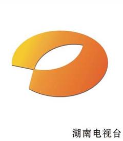《2010金芒果粉丝节》