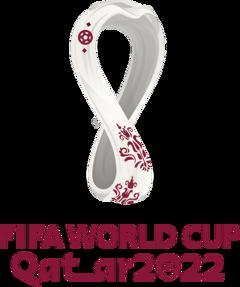 世界杯 伊朗vs美国20221130