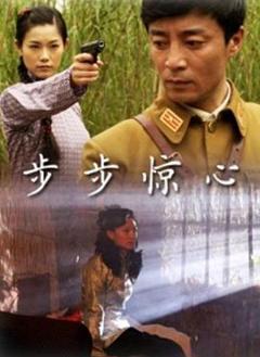 步步惊心2010