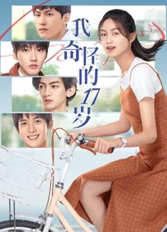 我奇怪的17岁2022