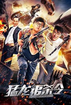 《猛龙追杀令》