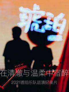 《琥珀，在清澈与温柔中宿醉》