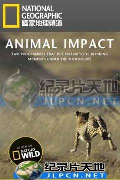 《动物构造大揭密》