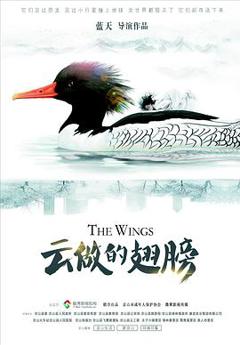 云做的翅膀