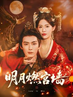 《明月燃宫墙》