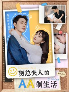 《贺总夫人的AA制生活》