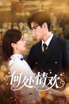 《何处情欢》