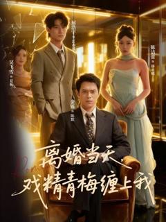 《离婚当天戏精青梅缠上我》