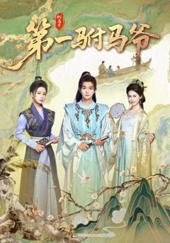 《第一驸马爷》